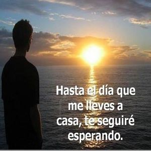 Meet your Posher, Rossy